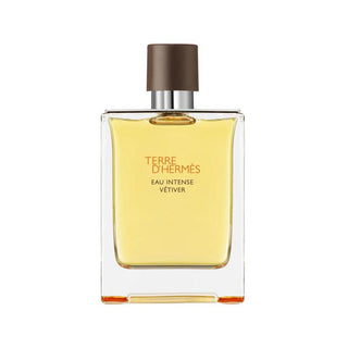 Hermès Terre D'Hermès Eau Intense Vetiver Eau de Parfum